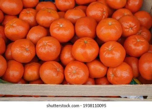 TANGERINE(IMPORTED)